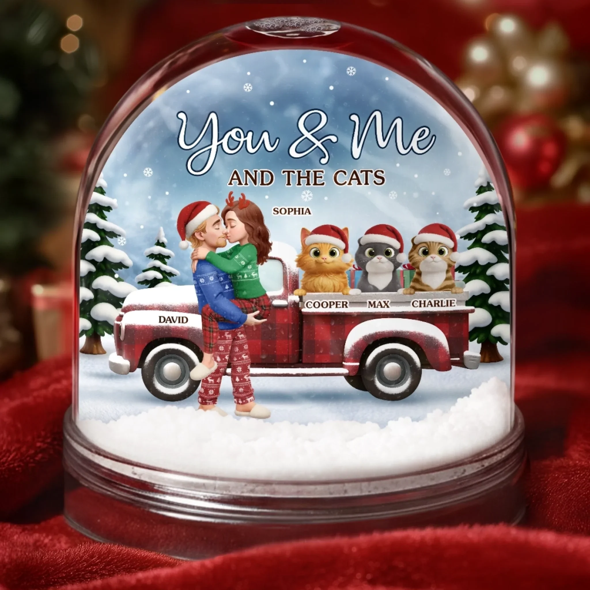 Custom Acrylic Snow Globe - Personalized Anniversary Christmas Wedding Gifts For Husband And Wife, Gifts For Cat Lovers, Cat Mom And Dad - You Me And The Cat
