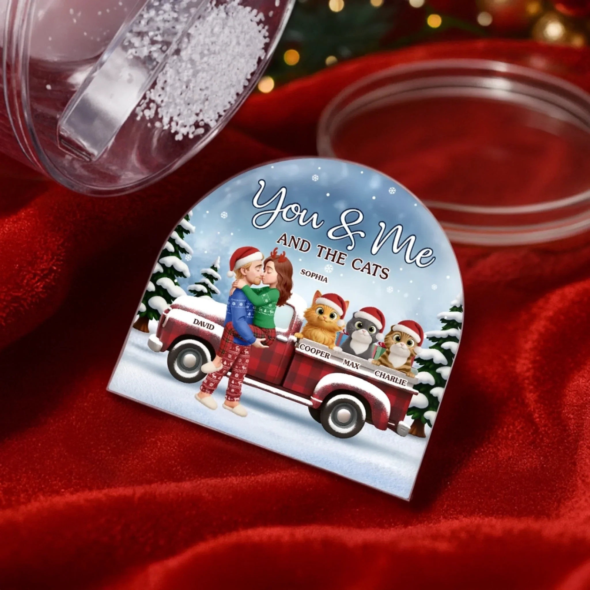 Custom Acrylic Snow Globe - Personalized Anniversary Christmas Wedding Gifts For Husband And Wife, Gifts For Cat Lovers, Cat Mom And Dad - You Me And The Cat - Image 4