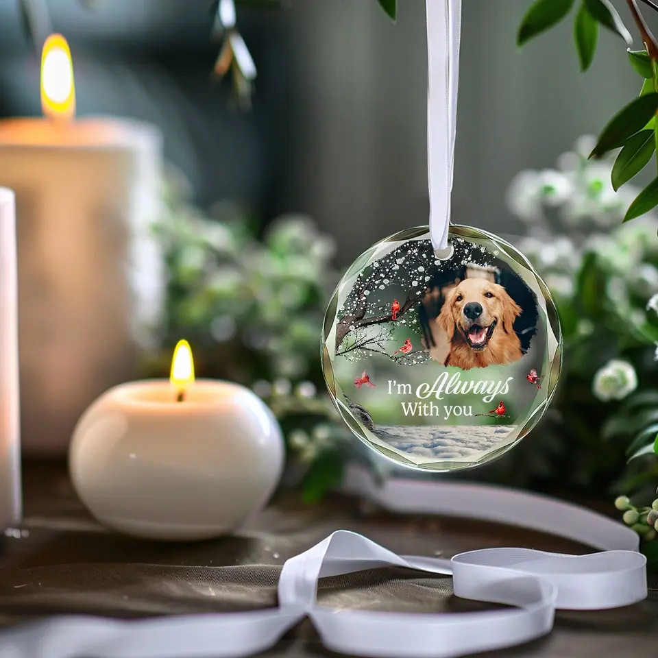 Custom Photo A Companion Is Gone, But The Memory Lives On - Memorial Personalized Custom Circle Glass Ornament - Sympathy Gift For Pet Owners, Pet Lovers - Image 3