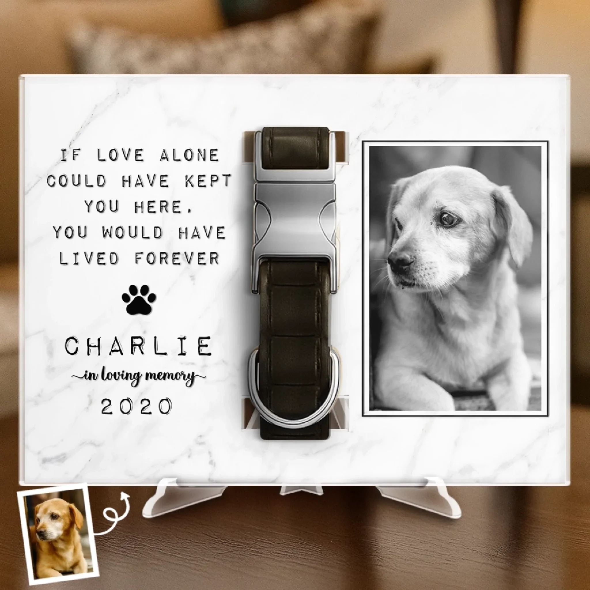Custom Photo Collar Plaque With Stand - Personalized Pet Memorial Sympathy Gifts For Dogs, Cats - Until We Meet Again In Heaven