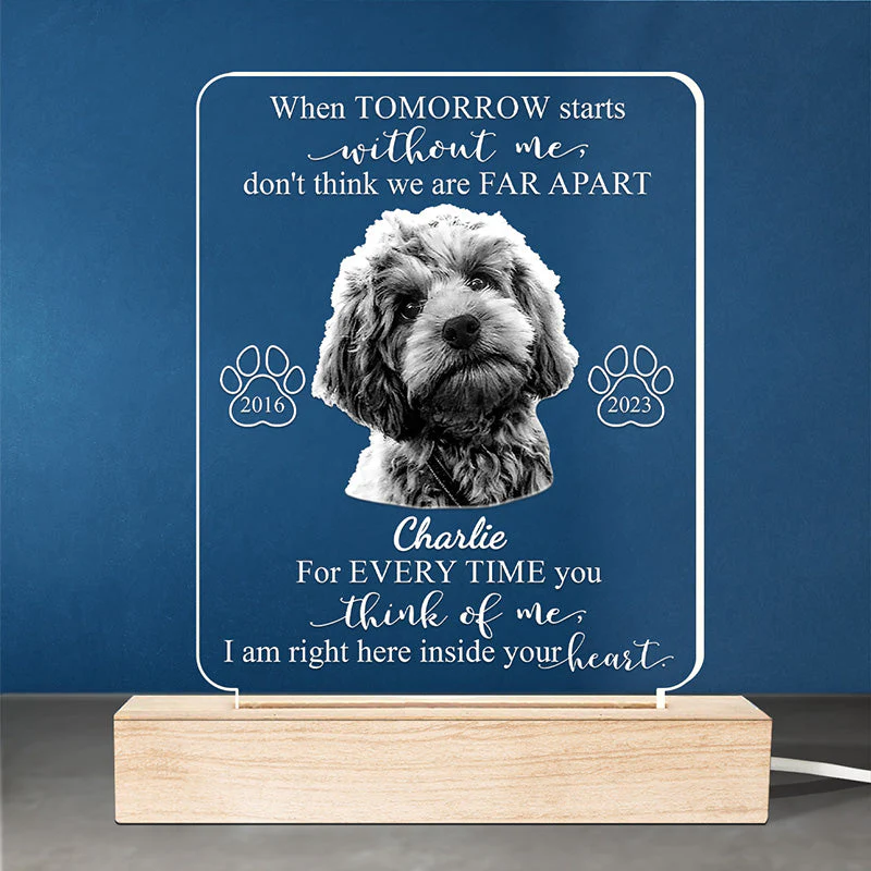 Custom Photo Every Time You Think Of Me - Memorial Personalized Custom Shaped 3D LED Light - Sympathy Gift For Pet Owners, Pet Lovers - Image 2