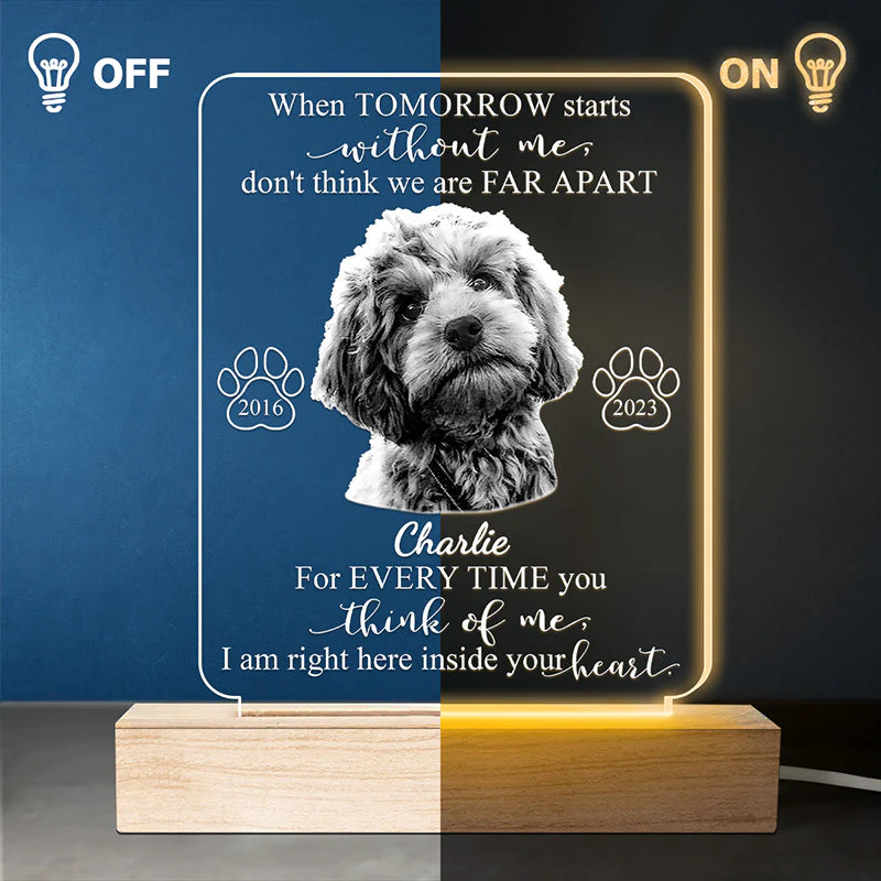 Custom Photo Every Time You Think Of Me - Memorial Personalized Custom Shaped 3D LED Light - Sympathy Gift For Pet Owners, Pet Lovers - Image 3