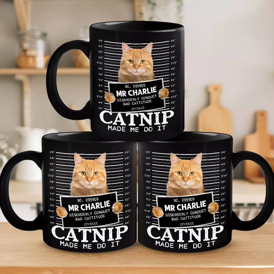 Custom Photo Furry Roommate, Furever Friend - Cat Personalized Custom Black Mug - Gift For Pet Owners, Pet Lovers - Image 4