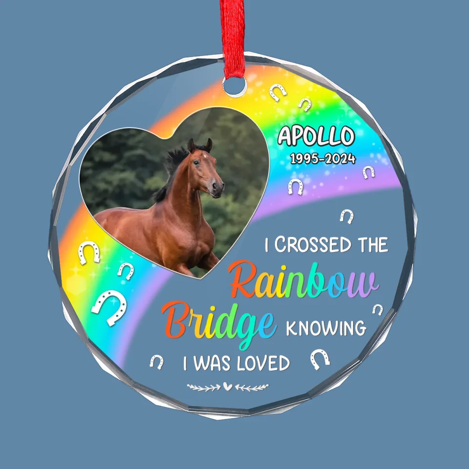 Custom Photo No Greater Companion, No Better Friend - Memorial Personalized Custom Circle Glass Ornament - Sympathy Gift, Christmas Gift For Pet Owners, Pet Lovers - Image 2