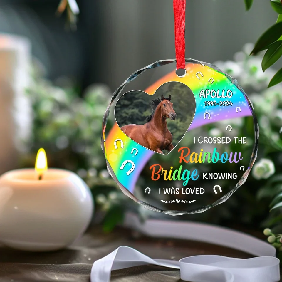 Custom Photo No Greater Companion, No Better Friend - Memorial Personalized Custom Circle Glass Ornament - Sympathy Gift, Christmas Gift For Pet Owners, Pet Lovers - Image 5