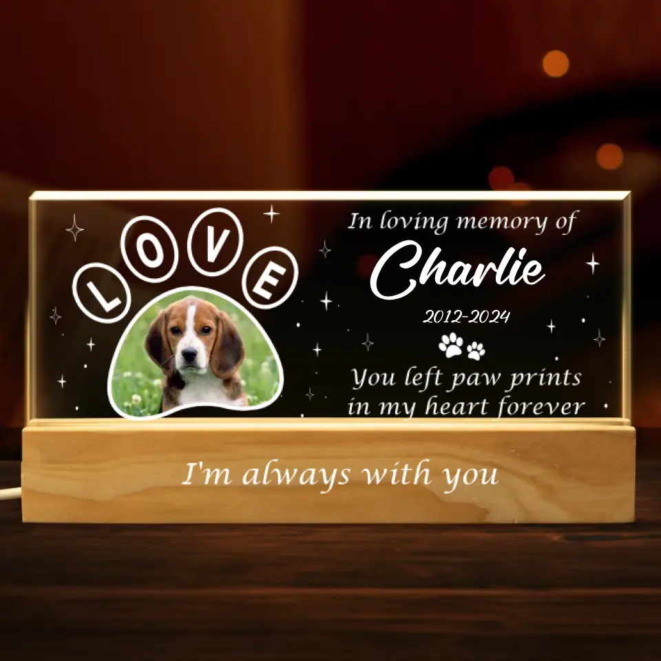 Custom Photo Your Light Will Always Shine In My Heart - Memorial Personalized Custom Acrylic Letters 3D LED Night Light - Sympathy Gift For Pet Owners, Pet Lovers - Image 2
