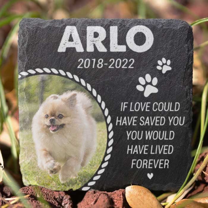 You Would Have Lived Forever - Personalized Memorial Stone - Upload Image, Memorial Gift, Sympathy Gift - Image 2